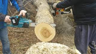 BATTERY POWERED MAKITA DUC400Z VS STIHL 017 [upl. by Hcirteid977]