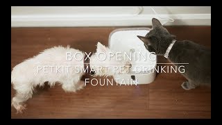 BOX OPENING  PETKIT EVERSWEET SMART PET DRINKING FOUNTAIN [upl. by Floss]