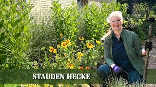 Staudenhecke pflanzen  für eine natürliche und ökologische Gartenbegrenzung [upl. by Ben]