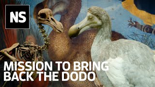 Beth Shapiro The ancient DNA pioneer’s mission to bring back the dodo [upl. by Hulda134]