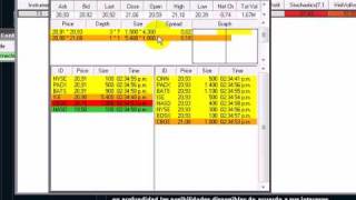 NinjaTrader using level 2 and time and sales [upl. by Turne]