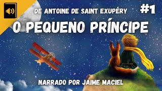 1  Audiolivro  O Pequeno Príncipe  Antoine de Saint Exupery [upl. by Stedt740]