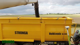 Stronga BulkLoada BL800 auf der Ernte  Traktor und landwirtschaftlicher Anhänger [upl. by Worsham]