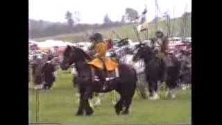 Shrotons Sealed Knot civil war reenactment [upl. by Maryn586]