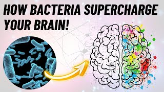 Probiotics for Brain HealthAnxiety and Depressionआंत के स्वास्थ्य से एंग्जायटी और डिप्रेशन का इलाज [upl. by Aryl]