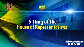 Sitting of the House of Representative  April 23 2024 [upl. by Kakalina]