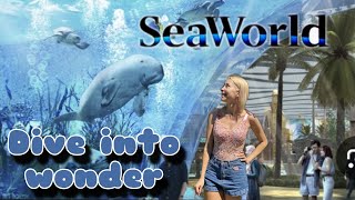 SeaWorld Abu Dhabi Theme park  Best place to visit in Abu Dhabi [upl. by Alisun]