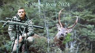 The Red Stag RutRoar 2024 Ruahine Range [upl. by Ary]