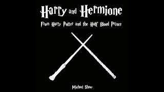 Harry and Hermione Orchestral Cover [upl. by Christensen]