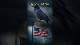 Ravens as a USA Flag Can you Imagine shorts hybrids [upl. by Tatianna]