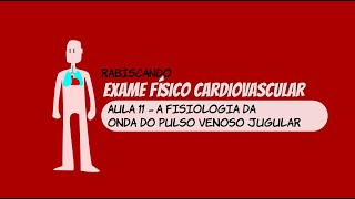 Inspeção das veias do pescoço IV  Fisiologia da onda de pulso venoso  Exame cardiovascular [upl. by Adnimra]