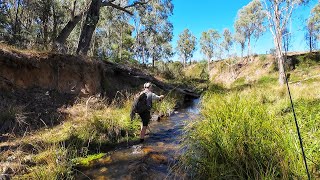 Troutfest 2024 Insane Trout Fishing [upl. by Ponton]