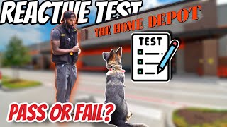 Trainer PUTS German Shepherd to the TEST at Home Depot [upl. by Monti]