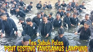 UKT Polos Ke Jambon PSHT Gisting Tanggamus Lampung [upl. by Alemac]