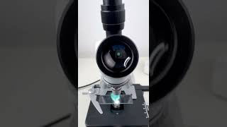 Amber sugar magnified 400 times is surprisingshorts fyp science microscope shortsvideo [upl. by Carberry]