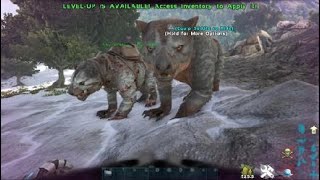 ARK Survival Evolved how to spawn thylacoleo [upl. by Belayneh]