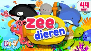 Dierengeluiden eerste woordjes en meer Pretlettertjes Zeedieren [upl. by Livvyy486]