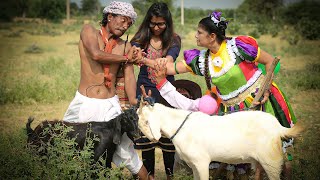 बकरा बकरी का दिवाना  गोटिया पोटिया कॉमेडी 2024  Bakra Bakri Ka Deewana  Gotiya Potiya Comedy 2024 [upl. by Sasha465]