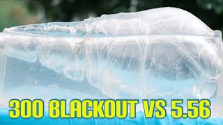 556 vs 300 Blackout 77 gr TMK vs 110 gr TTSX [upl. by Beitz574]