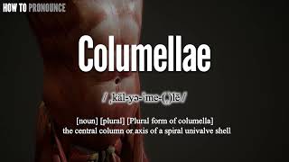 Columellae Pronunciation  How to Pronounce say Columellae CORRECTLY  Meaning Definition [upl. by Arehs]