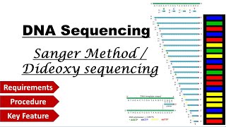 Sanger method DNA Sequencing [upl. by Ellebana]