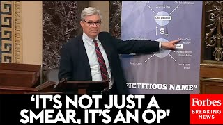 JUST IN Sheldon Whitehouse Decries Dark Money Smear Campaign Against Dem Appointed Judges [upl. by Dumm545]