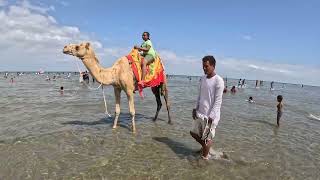 Massawa Eritrea Red Sea Gurgusum Beach 4K 60 FPS [upl. by Aenitsirhc]