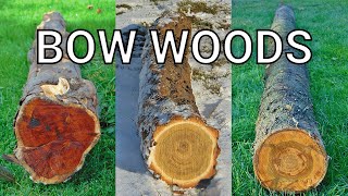 What Wood to Use for Bow Making [upl. by Andromede198]