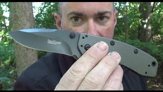 Kershaw Cryo 2 Review The next quotGotta have itquot EDC Knife [upl. by Magavern]