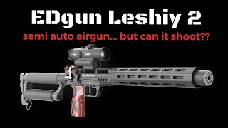 EDgun Leshiy 2  Long Range Accuracy can it shoot [upl. by Stilu]