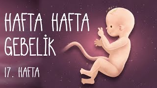 Hafta Hafta Gebelik 17 hafta [upl. by Neelyk]