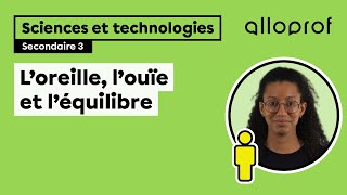 L’oreille l’ouïe et l’équilibre  Sciences et technologies  Alloprof [upl. by Hazel]