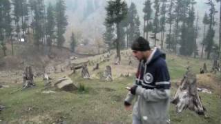 MC Kash  Kashmirs Other Graveyard Part I [upl. by Anivram]