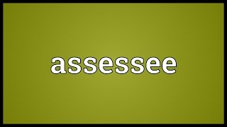 Assessee Meaning [upl. by Naitirb]