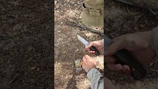 Fatwood Trick fatwood bushcraft survival [upl. by Atinihc]