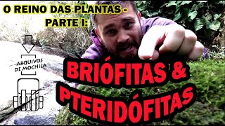 O REINO das PLANTAS BRIÓFITAS e PTERIDÓFITAS  documentário parte I [upl. by Olifoet983]