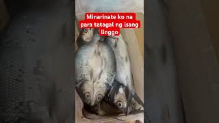 Marinated Bangus ulam for 1week na ito bokalbo [upl. by Vilberg]