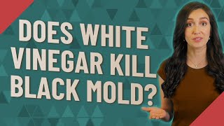 Does white vinegar kill black mold [upl. by Leissam374]