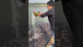 Fish lover 🦈 love यक fishing fish [upl. by Tecla]