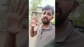 Jungle private Room bison Rukhad Jungle Camp  jungle bisonlover junglesafari nature vlog [upl. by Friday]