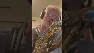 One Step Beyond  Madness Bari Sax [upl. by Subocaj]