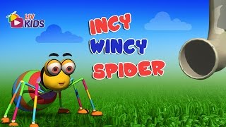 Incy Wincy Spider with Lyrics  LIV Kids Nursery Rhymes and Songs  HD [upl. by Esilegna]