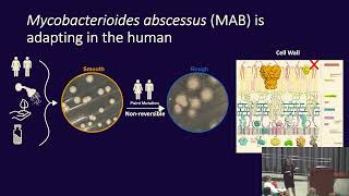 Use of Mycobacterium abscessus as a model system to define the physiology of bacteria during [upl. by Tina]