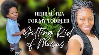 Making Herbal Tea For My Toddler to Get Rid of Mucus￼ [upl. by Asilef917]