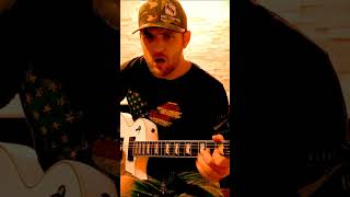 Seminole Wind  Guitar Cover country guitar [upl. by Leonerd]