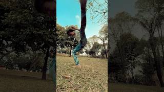 720 Kicks Taekwondo Tricking Capoeira [upl. by Aicened]