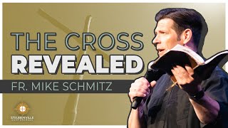 Fr Mike Schmitz  The Cross Revealed  2018 Steubenville On The Bayou [upl. by Bartko]