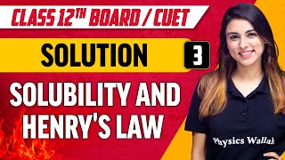 Solutions 03  Solubility and Henrys Law  Class 12thCUET [upl. by Suollecram]