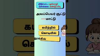 பழமொழிபகுதி61 tamil sol vilaiyattu trending shorts braingame DSinfotainment [upl. by Otit635]