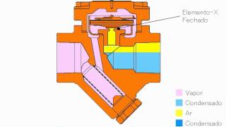 L21S  Purgador Termostático para vapor [upl. by Asquith]